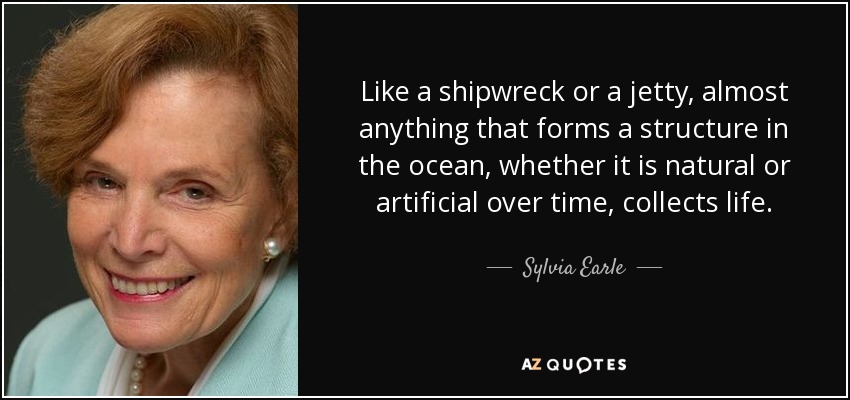 Like a shipwreck or a jetty, almost anything that forms a structure in the ocean, whether it is natural or artificial over time, collects life. - Sylvia Earle