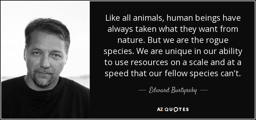Like all animals, human beings have always taken what they want from nature. But we are the rogue species. We are unique in our ability to use resources on a scale and at a speed that our fellow species can't. - Edward Burtynsky