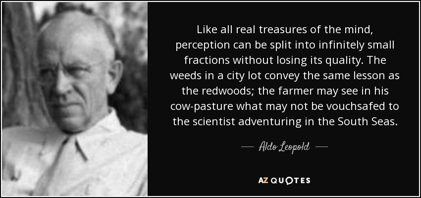 Like all real treasures of the mind, perception can be split into infinitely small fractions without losing its quality. The weeds in a city lot convey the same lesson as the redwoods; the farmer may see in his cow-pasture what may not be vouchsafed to the scientist adventuring in the South Seas. - Aldo Leopold