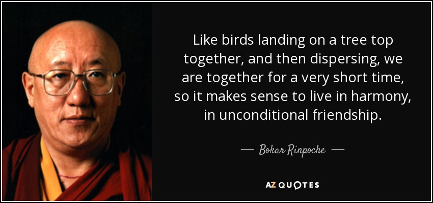Like birds landing on a tree top together, and then dispersing, we are together for a very short time, so it makes sense to live in harmony, in unconditional friendship. - Bokar Rinpoche