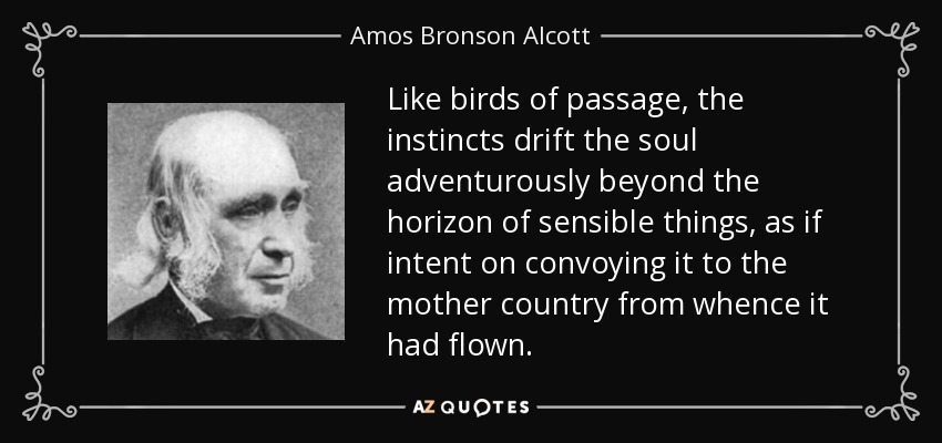 Like birds of passage, the instincts drift the soul adventurously beyond the horizon of sensible things, as if intent on convoying it to the mother country from whence it had flown. - Amos Bronson Alcott