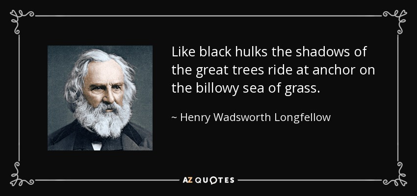 Like black hulks the shadows of the great trees ride at anchor on the billowy sea of grass. - Henry Wadsworth Longfellow