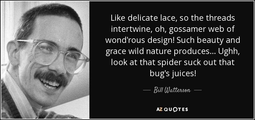 Like delicate lace, so the threads intertwine, oh, gossamer web of wond'rous design! Such beauty and grace wild nature produces... Ughh, look at that spider suck out that bug's juices! - Bill Watterson