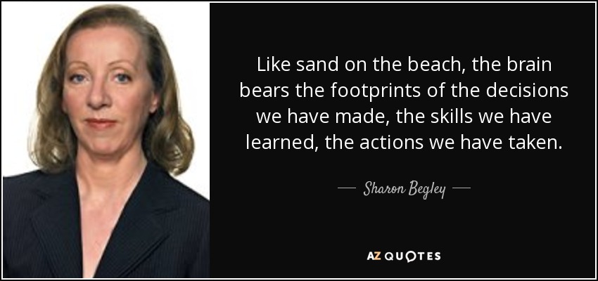 Like sand on the beach, the brain bears the footprints of the decisions we have made, the skills we have learned, the actions we have taken. - Sharon Begley
