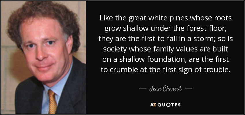 Like the great white pines whose roots grow shallow under the forest floor, they are the first to fall in a storm; so is society whose family values are built on a shallow foundation, are the first to crumble at the first sign of trouble. - Jean Charest