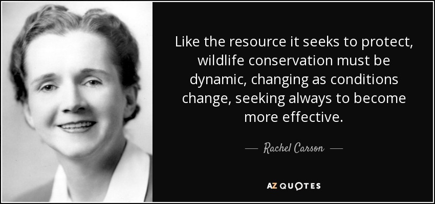 Like the resource it seeks to protect, wildlife conservation must be dynamic, changing as conditions change, seeking always to become more effective. - Rachel Carson