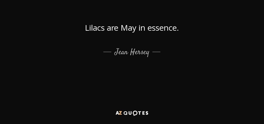Lilacs are May in essence. - Jean Hersey