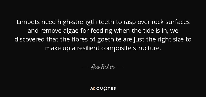 Limpets need high-strength teeth to rasp over rock surfaces and remove algae for feeding when the tide is in, we discovered that the fibres of goethite are just the right size to make up a resilient composite structure. - Asa Baber