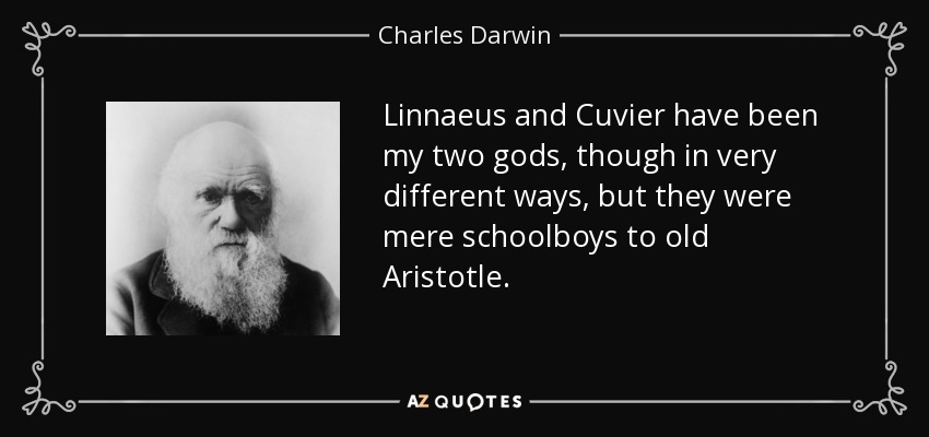 Linnaeus and Cuvier have been my two gods, though in very different ways, but they were mere schoolboys to old Aristotle. - Charles Darwin