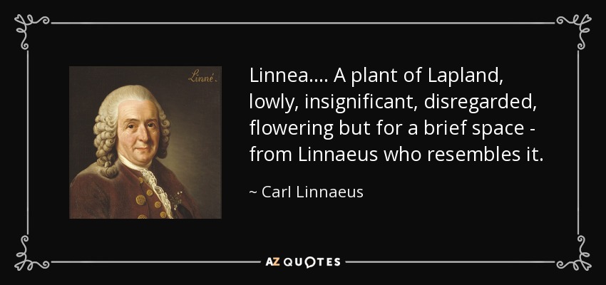 Linnea.... A plant of Lapland, lowly, insignificant, disregarded, flowering but for a brief space - from Linnaeus who resembles it. - Carl Linnaeus