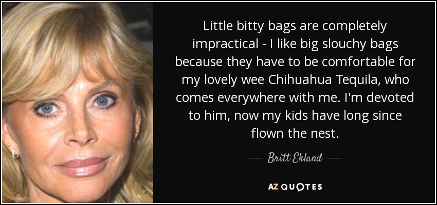 Little bitty bags are completely impractical - I like big slouchy bags because they have to be comfortable for my lovely wee Chihuahua Tequila, who comes everywhere with me. I'm devoted to him, now my kids have long since flown the nest. - Britt Ekland