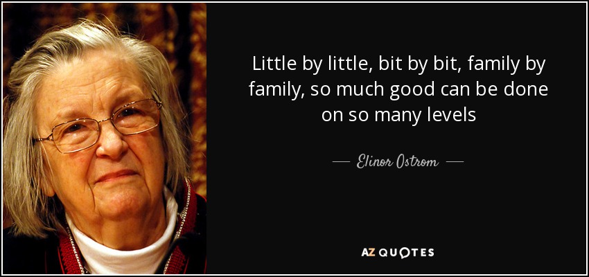 Little by little, bit by bit, family by family, so much good can be done on so many levels - Elinor Ostrom