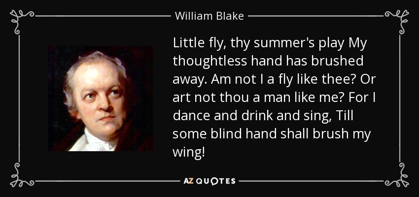 Little fly, thy summer's play My thoughtless hand has brushed away. Am not I a fly like thee? Or art not thou a man like me? For I dance and drink and sing, Till some blind hand shall brush my wing! - William Blake