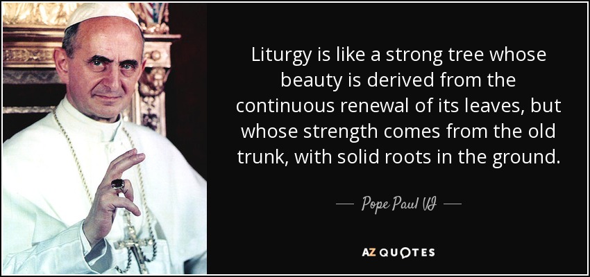 Liturgy is like a strong tree whose beauty is derived from the continuous renewal of its leaves, but whose strength comes from the old trunk, with solid roots in the ground. - Pope Paul VI