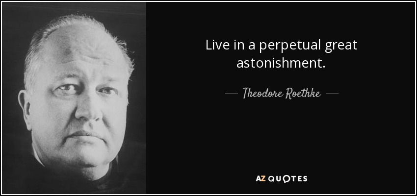 Live in a perpetual great astonishment. - Theodore Roethke