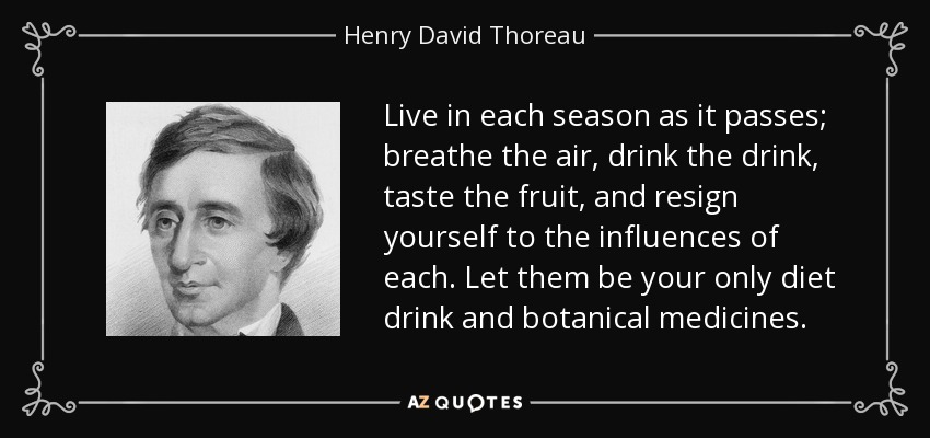 Live in each season as it passes; breathe the air, drink the drink, taste the fruit, and resign yourself to the influences of each. Let them be your only diet drink and botanical medicines. - Henry David Thoreau