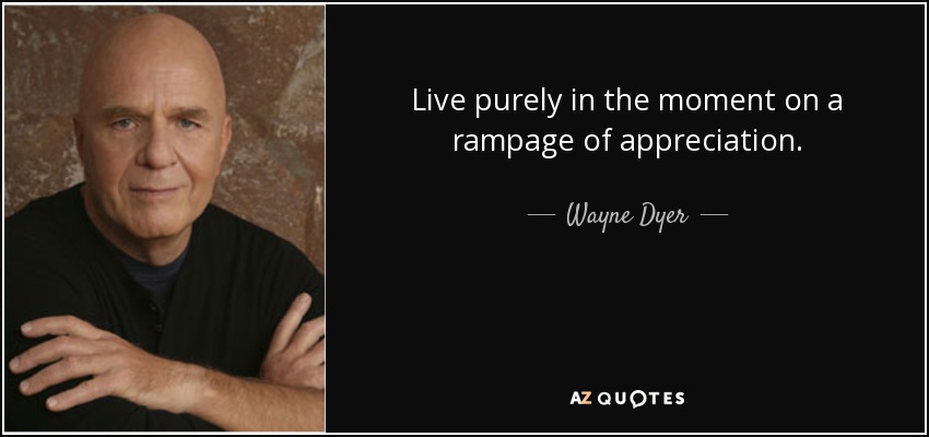 Live purely in the moment on a rampage of appreciation. - Wayne Dyer