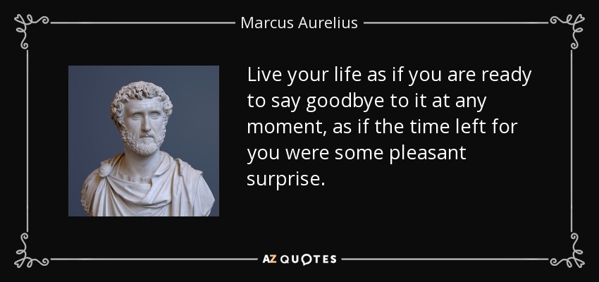 Live your life as if you are ready to say goodbye to it at any moment, as if the time left for you were some pleasant surprise. - Marcus Aurelius
