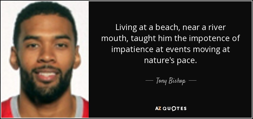 Living at a beach, near a river mouth, taught him the impotence of impatience at events moving at nature's pace. - Tony Bishop