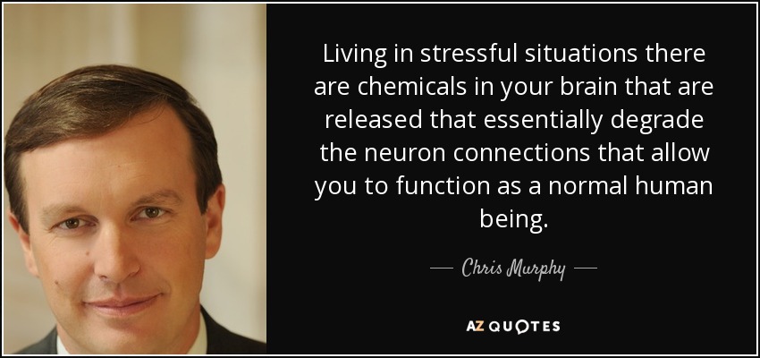 Living in stressful situations there are chemicals in your brain that are released that essentially degrade the neuron connections that allow you to function as a normal human being. - Chris Murphy