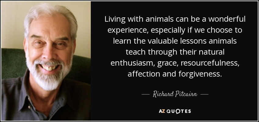 Living with animals can be a wonderful experience, especially if we choose to learn the valuable lessons animals teach through their natural enthusiasm, grace, resourcefulness, affection and forgiveness. - Richard Pitcairn