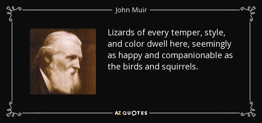 Lizards of every temper, style, and color dwell here, seemingly as happy and companionable as the birds and squirrels. - John Muir