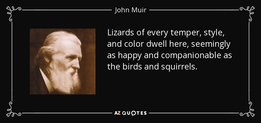 Lizards of every temper, style, and color dwell here, seemingly as happy and companionable as the birds and squirrels. - John Muir