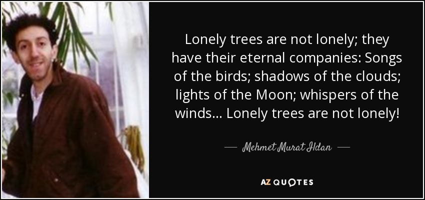 Lonely trees are not lonely; they have their eternal companies: Songs of the birds; shadows of the clouds; lights of the Moon; whispers of the winds... Lonely trees are not lonely! - Mehmet Murat Ildan