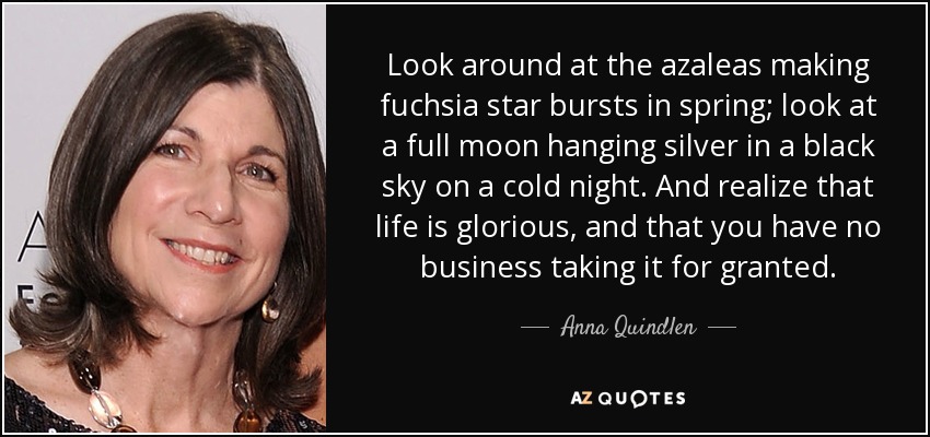 Look around at the azaleas making fuchsia star bursts in spring; look at a full moon hanging silver in a black sky on a cold night. And realize that life is glorious, and that you have no business taking it for granted. - Anna Quindlen