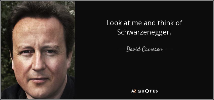 Look at me and think of Schwarzenegger. - David Cameron