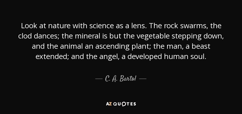 Look at nature with science as a lens. The rock swarms, the clod dances; the mineral is but the vegetable stepping down, and the animal an ascending plant; the man, a beast extended; and the angel, a developed human soul. - C. A. Bartol