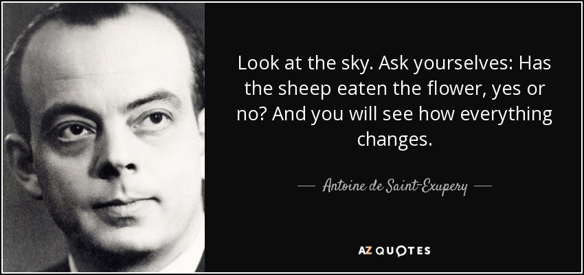 Look at the sky. Ask yourselves: Has the sheep eaten the flower, yes or no? And you will see how everything changes. - Antoine de Saint-Exupery
