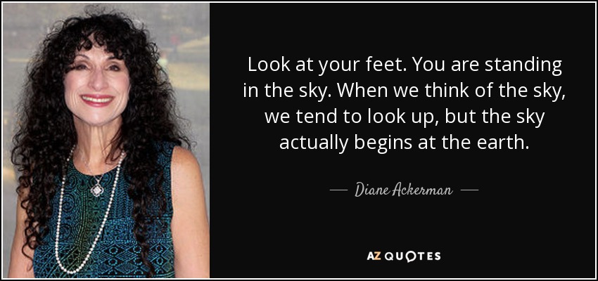 Look at your feet. You are standing in the sky. When we think of the sky, we tend to look up, but the sky actually begins at the earth. - Diane Ackerman