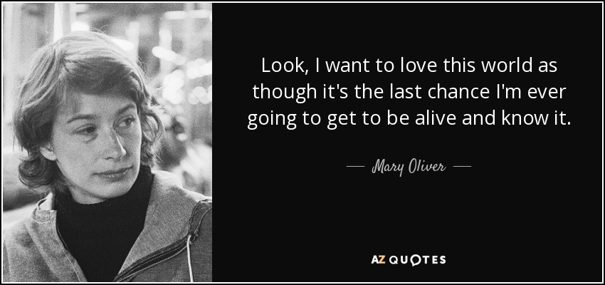 Look, I want to love this world as though it's the last chance I'm ever going to get to be alive and know it. - Mary Oliver