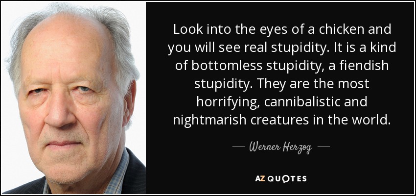Look into the eyes of a chicken and you will see real stupidity. It is a kind of bottomless stupidity, a fiendish stupidity. They are the most horrifying, cannibalistic and nightmarish creatures in the world. - Werner Herzog