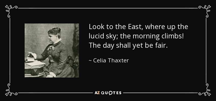 Look to the East, where up the lucid sky; the morning climbs! The day shall yet be fair. - Celia Thaxter