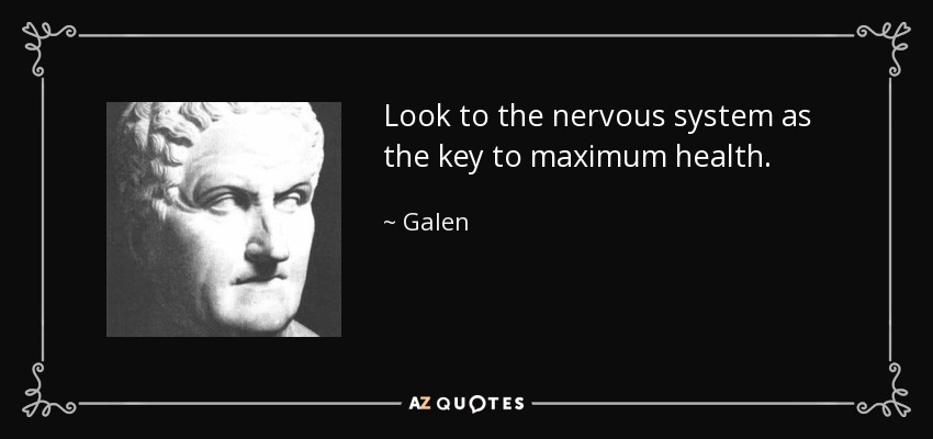 Look to the nervous system as the key to maximum health. - Galen