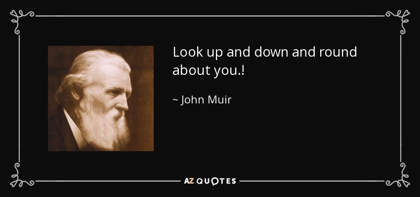 Look up and down and round about you.! - John Muir