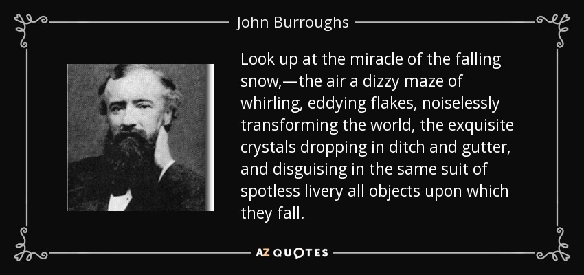 Look up at the miracle of the falling snow,—the air a dizzy maze of whirling, eddying flakes, noiselessly transforming the world, the exquisite crystals dropping in ditch and gutter, and disguising in the same suit of spotless livery all objects upon which they fall. - John Burroughs