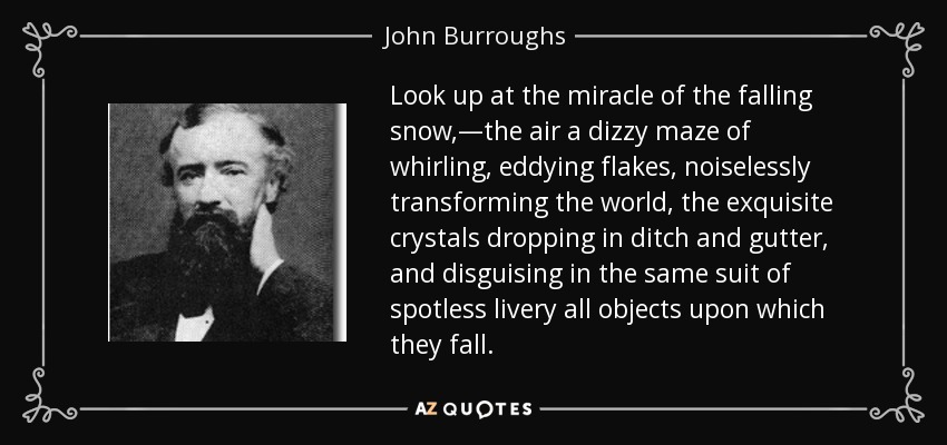 Look up at the miracle of the falling snow,—the air a dizzy maze of whirling, eddying flakes, noiselessly transforming the world, the exquisite crystals dropping in ditch and gutter, and disguising in the same suit of spotless livery all objects upon which they fall. - John Burroughs