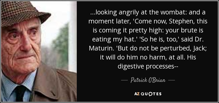 ...looking angrily at the wombat: and a moment later, 'Come now, Stephen, this is coming it pretty high: your brute is eating my hat.' 'So he is, too,' said Dr. Maturin. 'But do not be perturbed, Jack; it will do him no harm, at all. His digestive processes-- - Patrick O'Brian