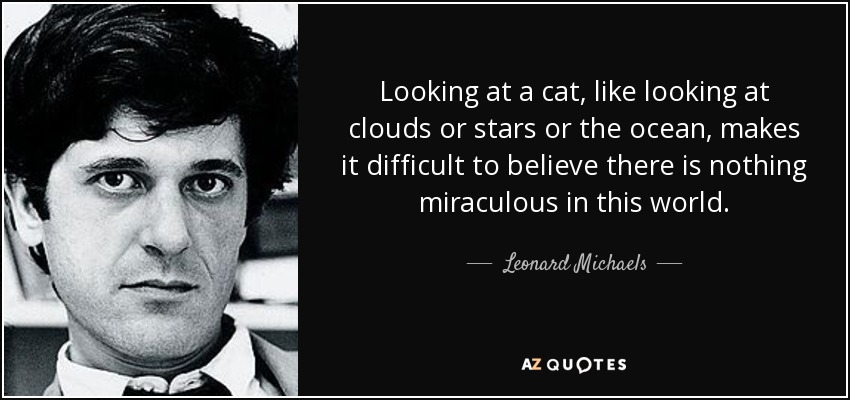 Looking at a cat, like looking at clouds or stars or the ocean, makes it difficult to believe there is nothing miraculous in this world. - Leonard Michaels