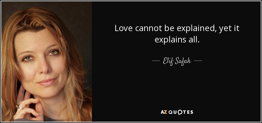 Love cannot be explained, yet it explains all. - Elif Safak
