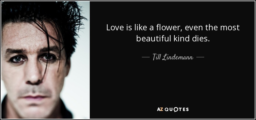 Love is like a flower, even the most beautiful kind dies. - Till Lindemann