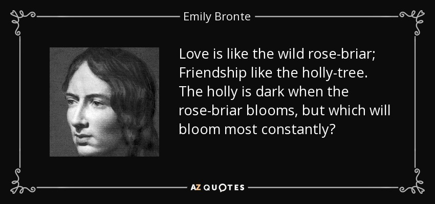 Love is like the wild rose-briar; Friendship like the holly-tree. The holly is dark when the rose-briar blooms, but which will bloom most constantly? - Emily Bronte
