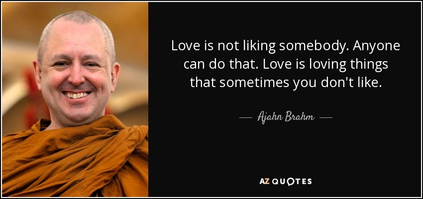 Love is not liking somebody. Anyone can do that. Love is loving things that sometimes you don't like. - Ajahn Brahm
