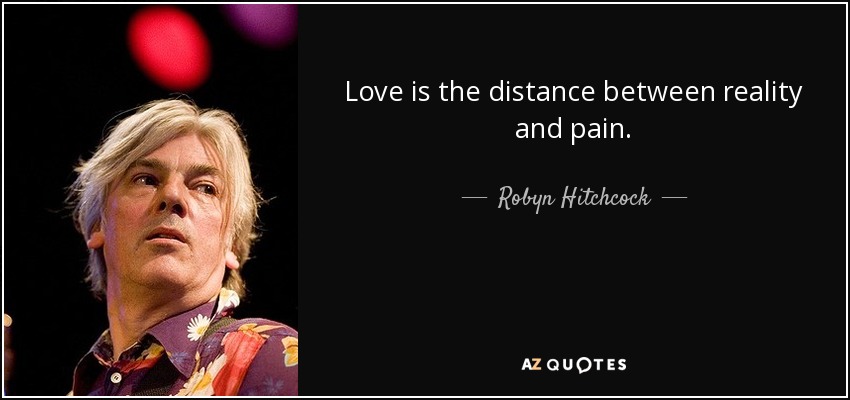 Love is the distance between reality and pain. - Robyn Hitchcock