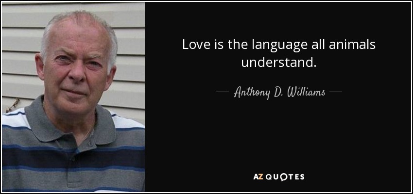 Love is the language all animals understand. - Anthony D. Williams