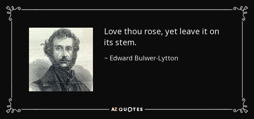 Love thou rose, yet leave it on its stem. - Edward Bulwer-Lytton, 1st Baron Lytton