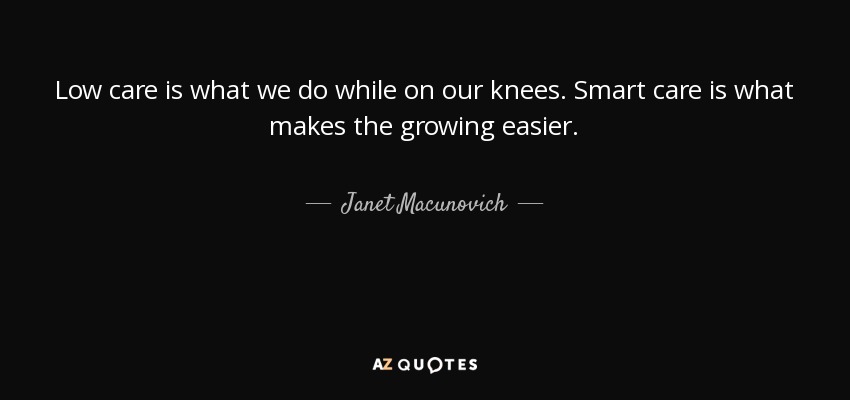 Low care is what we do while on our knees. Smart care is what makes the growing easier. - Janet Macunovich
